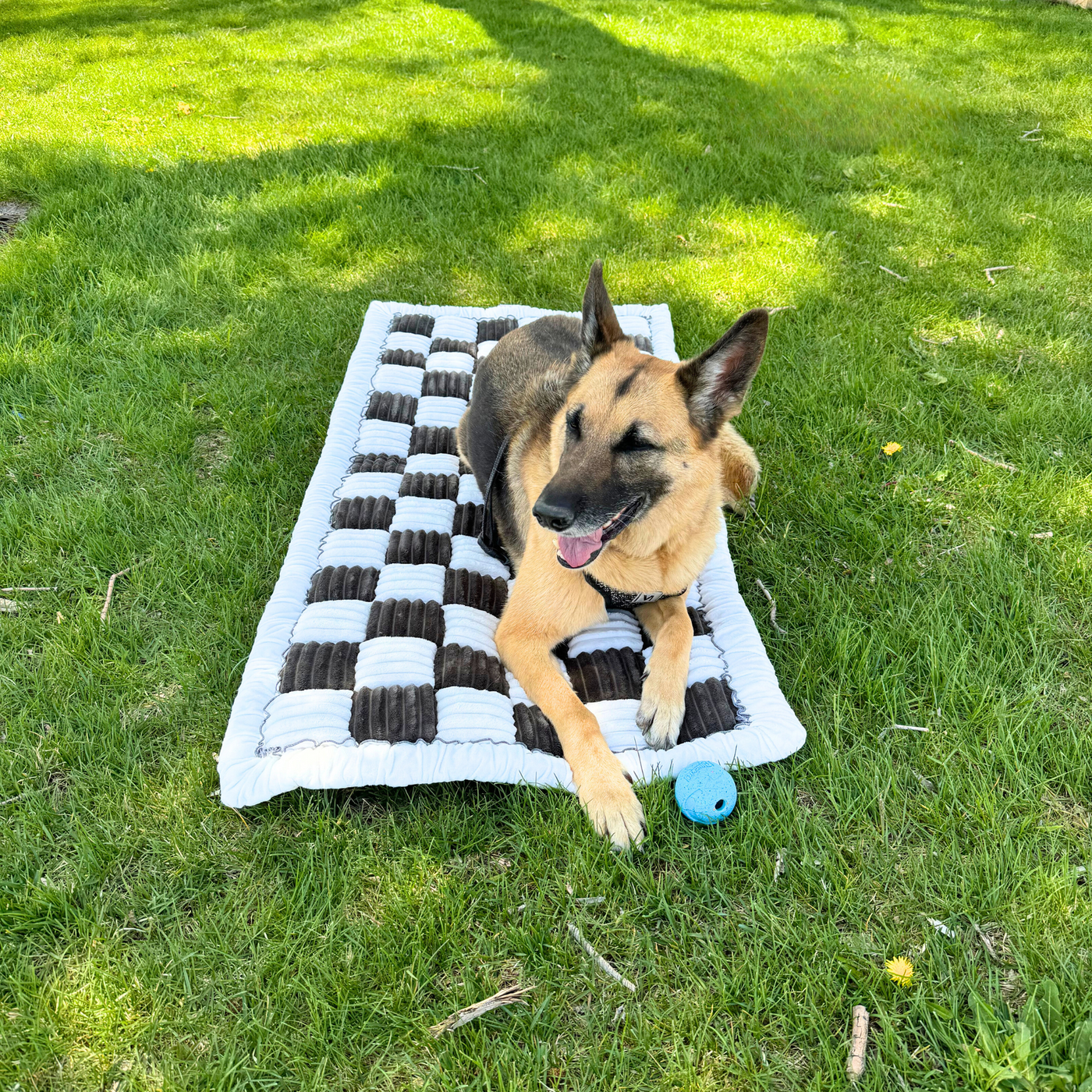 Global Inn™ Deluxe Dog Bed - For The Backseat Extender