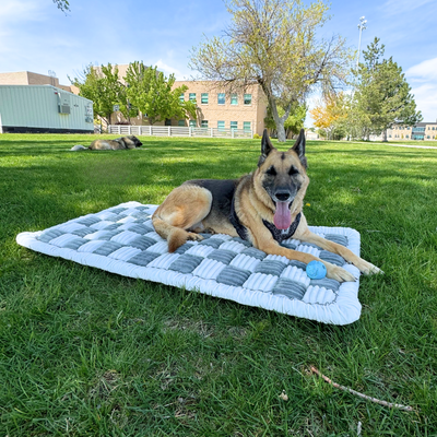 Global Inn™ Deluxe Dog Bed - For The Backseat Extender